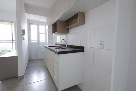 Cozinha de apartamento para alugar com 2 quartos, 53m² em Vila Sao Pedro, Santo André
