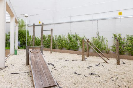 Apartamento para alugar com 62m², 2 quartos e 2 vagasÁrea comum