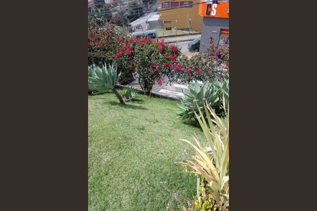 Casa à venda com 3 quartos, 225m² em Cinquentenario, Belo Horizonte