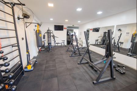 Apartamento para alugar com 68m², 2 quartos e 1 vaga Apartamento para alugar com 68m², 2 quartos e 1 vagaÁrea comum - Academia