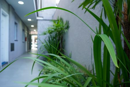 Apartamento à venda com 37m², 2 quartos e sem vagaÁrea comum