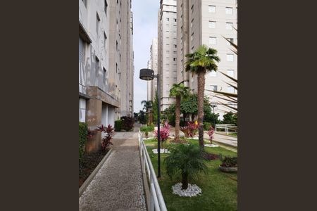 Apartamento para alugar com 65m², 3 quartos e 1 vaga Apartamento para alugar com 65m², 3 quartos e 1 vagaÁrea externa