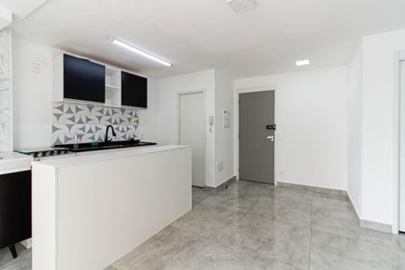 Sala de apartamento para alugar com 2 quartos, 48m² em Parque Industrial Tomas Edson, São Paulo