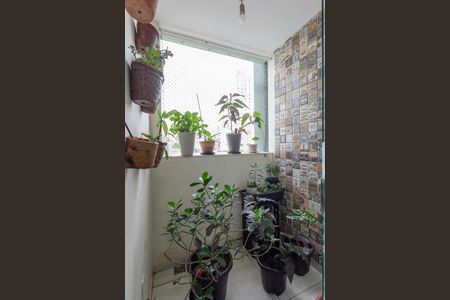 Varanda da sala de apartamento para alugar com 3 quartos, 111m² em Renascença, Belo Horizonte