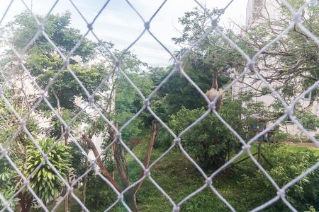 Apartamento para alugar com 53m², 2 quartos e 1 vaga Apartamento para alugar com 53m², 2 quartos e 1 vagaVista da Área de Serviço