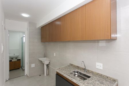 Apartamento para alugar com 35m², 2 quartos e sem vagaCozinha