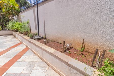 Apartamento para alugar com 55m², 2 quartos e 1 vaga Apartamento para alugar com 55m², 2 quartos e 1 vagaHorta e Pomar