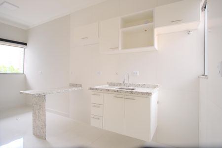 Apartamento para alugar com 40m², 2 quartos e sem vagaCozinha