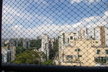 Apartamento para alugar com 250m², 5 quartos e 3 vagasVista Varanda