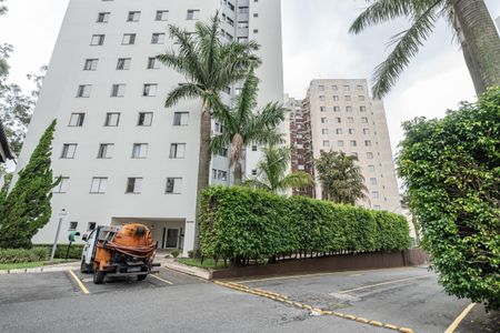 Apartamento para alugar com 74m², 3 quartos e 1 vagaJArdim