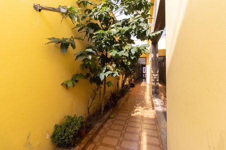 Casa à venda com 976m², 3 quartos e 2 vagasCorredor Lateral