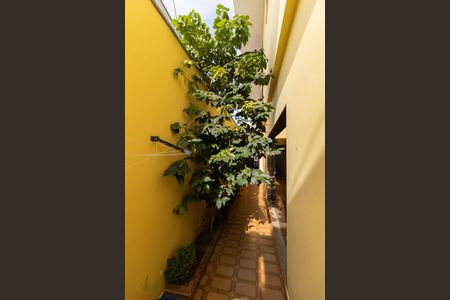 Casa à venda com 976m², 3 quartos e 2 vagasCorredor Lateral