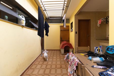 Casa à venda com 976m², 3 quartos e 2 vagasQuintal