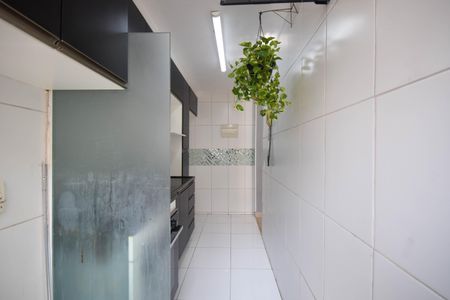 Apartamento para alugar com 51m², 2 quartos e 1 vagaCozinha e Área de Serviço