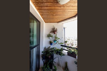 Varanda Sala de apartamento à venda com 2 quartos, 55m² em Vila Lais, São Paulo