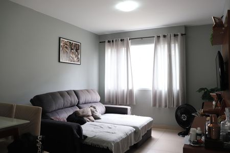 Sala de casa de condomínio à venda com 2 quartos, 110m² em Vila Bela, São Paulo