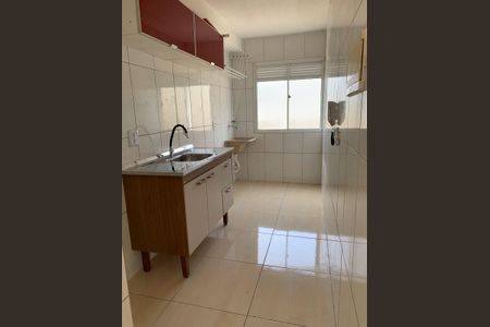 Cozinha de apartamento para alugar com 2 quartos, 48m² em Jardim Isis, Cotia