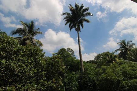 Apartamento à venda com 94m², 3 quartos e 2 vagasQuarto 1 - Vista