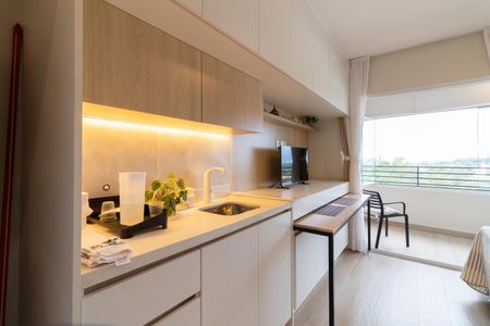 Apartamento para alugar com 26m², 1 quarto e sem vagaStudio - Kitnet