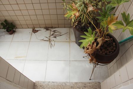 Varanda da Sala de casa para alugar com 2 quartos, 75m² em Macuco, Santos