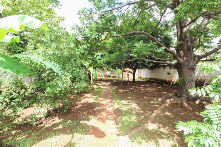 Casa à venda com 396m², 1 quarto e sem vagaQuintal