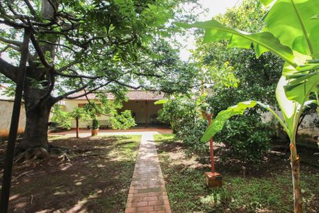 Casa à venda com 396m², 1 quarto e sem vagaQuintal