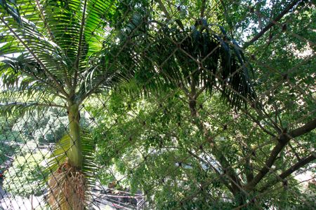 Apartamento à venda com 173m², 3 quartos e 2 vagasVista do Quarto 2