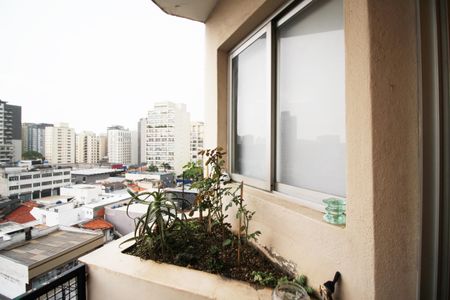 Varanda de kitnet/studio para alugar com 1 quarto, 34m² em Moema, São Paulo