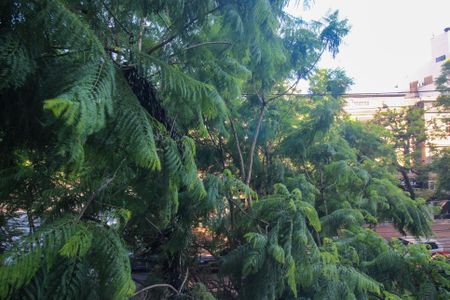 Apartamento à venda com 105m², 3 quartos e 1 vaga Apartamento à venda com 105m², 3 quartos e 1 vagaVista do Quarto 2