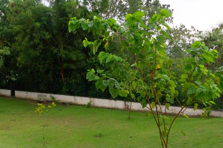 Apartamento para alugar com 42m², 2 quartos e 1 vagaBosque