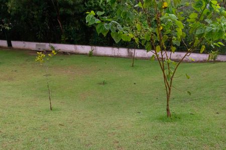 Apartamento para alugar com 42m², 2 quartos e 1 vagaBosque