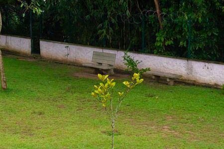 Apartamento para alugar com 42m², 2 quartos e 1 vagaBosque