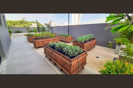 Apartamento para alugar com 39m², 2 quartos e 1 vagaHorta