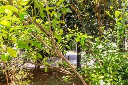 Apartamento para alugar com 560m², 3 quartos e 4 vagasVista da Sala