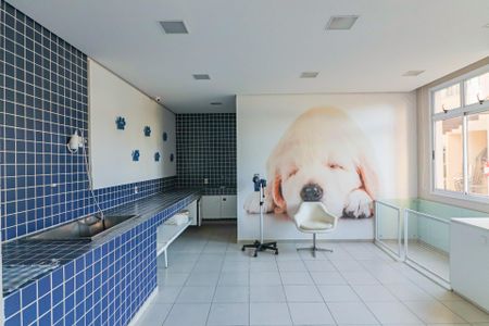 Apartamento para alugar com 91m², 2 quartos e 1 vaga Apartamento para alugar com 91m², 2 quartos e 1 vagaEspaço pet