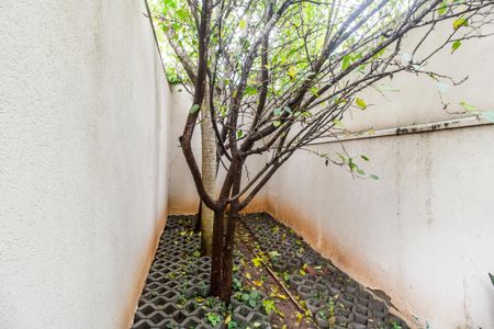 Casa de condomínio à venda com 368m², 3 quartos e 6 vagasQuintal