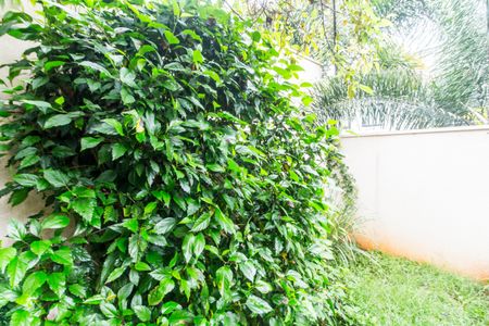 Casa de condomínio à venda com 368m², 3 quartos e 6 vagasQuintal