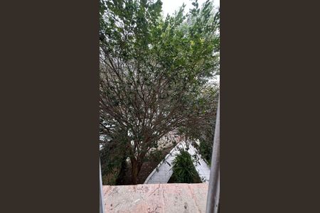 Casa para alugar com 3 quartos, 220m² em Vila Graciosa, São Paulo