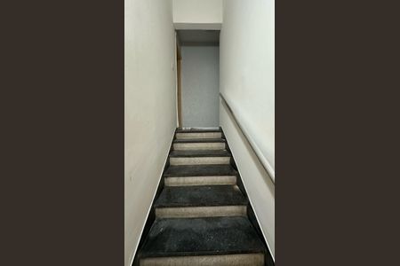 Casa para alugar com 3 quartos, 220m² em Vila Graciosa, São Paulo