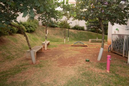 Apartamento para alugar com 41m², 2 quartos e 1 vaga Apartamento para alugar com 41m², 2 quartos e 1 vagaPet Place