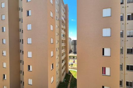 Vista do Quarto 1 de apartamento para alugar com 2 quartos, 56m² em Jardim das Bandeiras, Campinas