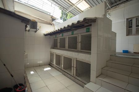 Casa para alugar com 180m², 4 quartos e 2 vagasQuintal