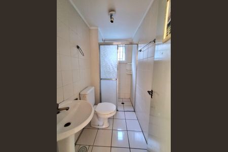 Banheiro 2 de apartamento para alugar com 2 quartos, 60m² em Santa Teresa, São Leopoldo