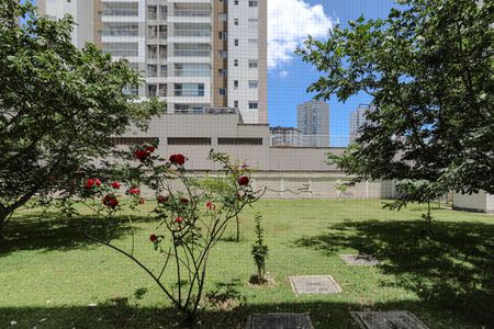 Apartamento para alugar com 54m², 2 quartos e 1 vagaVista - Área de Serviço