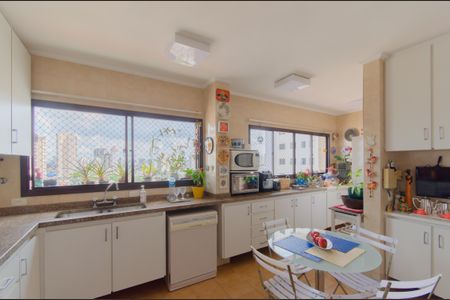 Apartamento para alugar com 340m², 3 quartos e 3 vagasCozinha