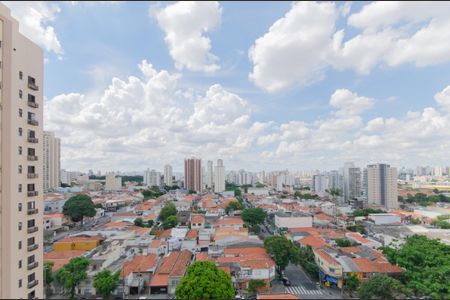 Apartamento para alugar com 340m², 3 quartos e 3 vagasVista