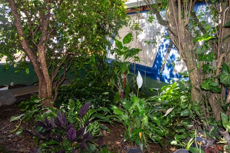 Casa para alugar com 1000m², 8 quartos e 7 vagasJardim