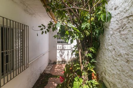 Casa para alugar com 220m², 3 quartos e 3 vagasCorredor Lateral