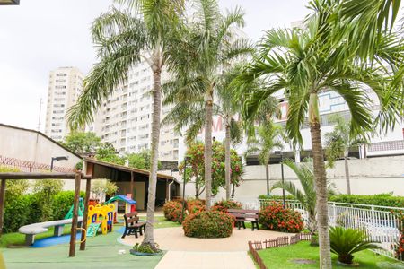 Apartamento para alugar com 60m², 3 quartos e 1 vagaÁrea comum - Playground