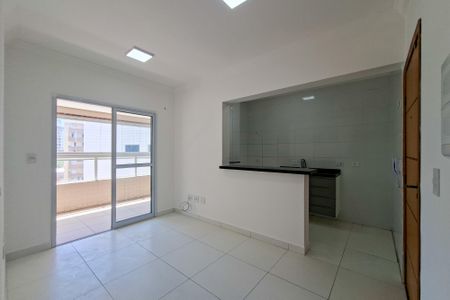 Sala de apartamento para alugar com 1 quarto, 45m² em Vila Tupi, Praia Grande